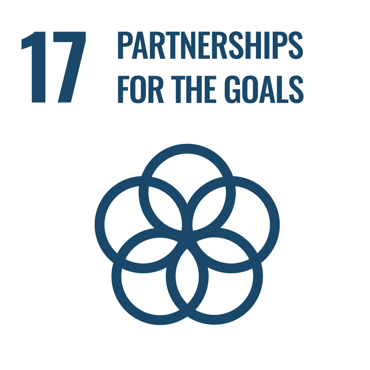 Goal 17: Partnerships